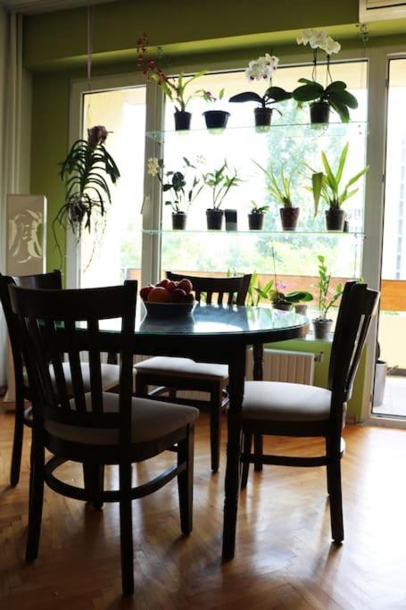 Beautiful Flat In Central Location By Flat Mаnager Sofia Exterior photo